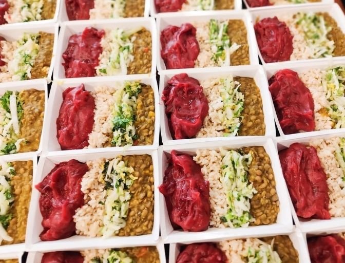 Marmitas vegetarianas e veganas no Rio de Janeiro